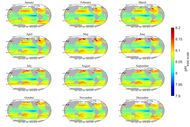 Fig 2: Spatial Distribution of Monthly Average Sea Surface pH in Climatology